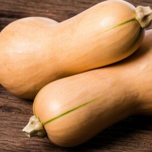 COURGE BUTTERNUT BIO