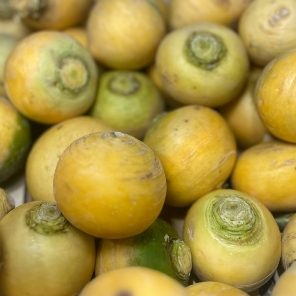 NAVET BOULE D'OR BIO