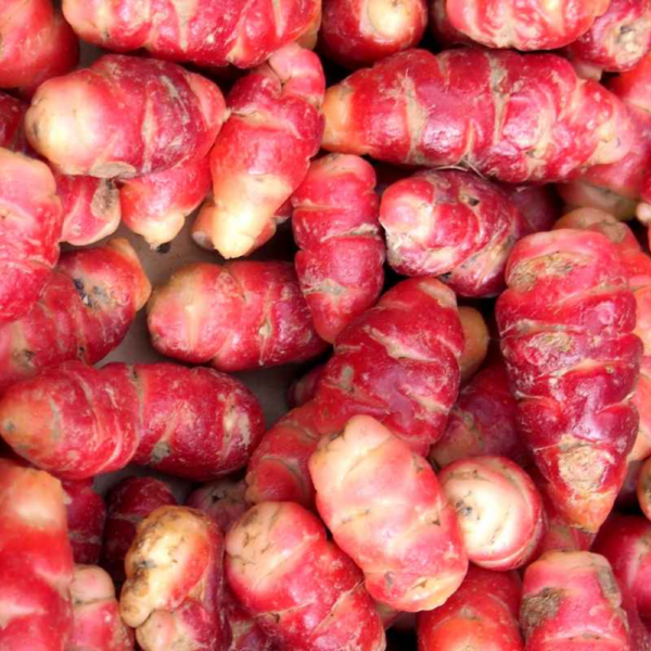 OCA DU PÉROU BIO