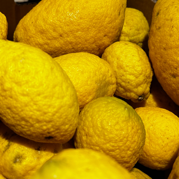 CITRON CÉDRAT BIO