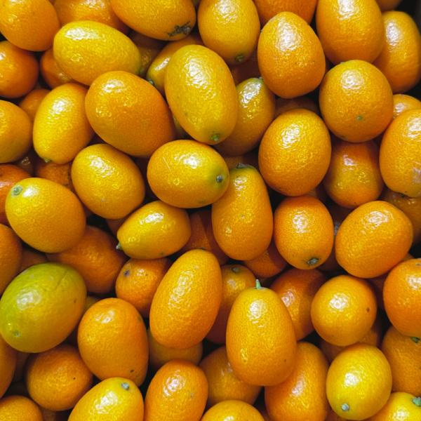 KUMQUAT BIO