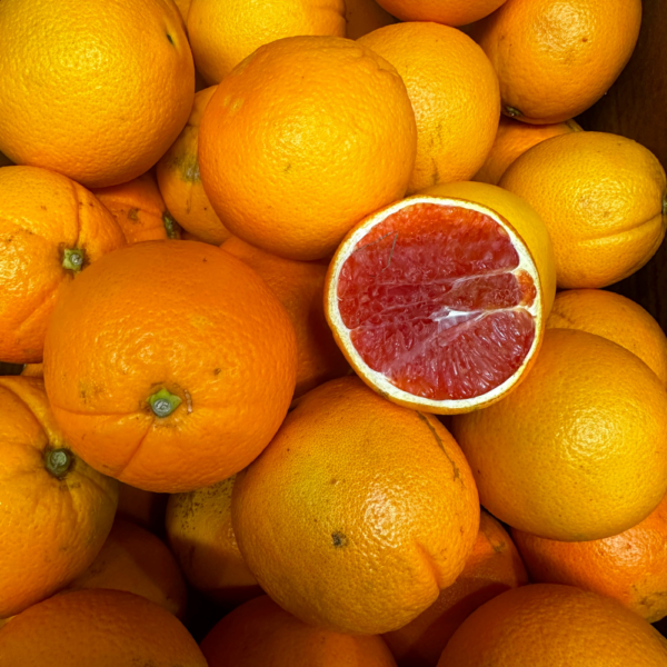 ORANGE SANGUINE BIO